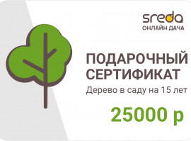Сертификат на дерево. Номинал 25 000 руб. На 15 лет
